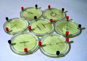 Демонстрационный комплект «Силовые линии электрического поля разных систем зарядов» - fgospostavki.ru - Тихорецк