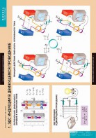 Комплект таблиц. Физика. Электромагнетизм. - fgospostavki.ru - Тихорецк