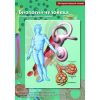 Интерактивные плакаты. Биология человека. Программно-методический комплекс - fgospostavki.ru - Тихорецк