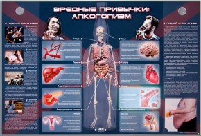 Электрифицированный стенд "Вредные привычки: алкоголизм" - fgospostavki.ru - Тихорецк