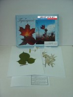 Гербарий "Медоносные растения" (24 вида) - fgospostavki.ru - Тихорецк