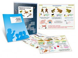 Комплект кодотранспарантов "Ядовитые и жалящие животные" - fgospostavki.ru - Тихорецк