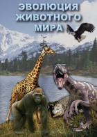 DVD "Эволюция животного мира" - fgospostavki.ru - Тихорецк