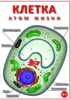 DVD "Клетка - "атом жизни" - fgospostavki.ru - Тихорецк