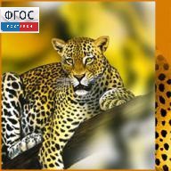 Зоология. (Цифровая база изображений) - fgospostavki.ru - Тихорецк