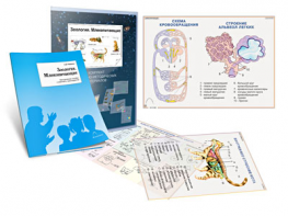 Комплект кодотранспарантов "Зоология. Млекопитающие" - fgospostavki.ru - Тихорецк