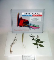 Гербарий "Кормовые растения" (20 видов) - fgospostavki.ru - Тихорецк