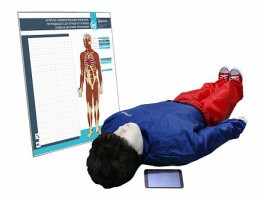 "Игорь-02" манекен-тренажер взрослого пострадавшего для отработки приемов сердечно-легочной реанимации (голова, туловище, конечности) с беспроводным планшетным компьютером и настенным анатомическим табло - fgospostavki.ru - Тихорецк