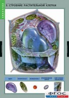 Комплект таблиц. Биология. Вещества растений. Клеточное строение. - fgospostavki.ru - Тихорецк