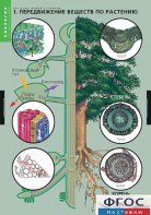 Комплект таблиц. Биология. Растение – живой организм. - fgospostavki.ru - Тихорецк