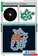 Комплект таблиц. Химия. Белки и нуклеиновые кислоты. - fgospostavki.ru - Тихорецк