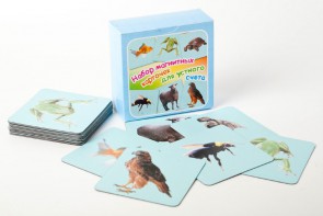 Набор магнитных карточек "Устный счет" (фон голубой) - fgospostavki.ru - Тихорецк