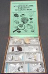 Коллекция "Многообразие раковин моллюсков" - fgospostavki.ru - Тихорецк