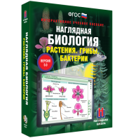 Наглядная биология. 6 класс. Растения. Грибы. Бактерии - fgospostavki.ru - Тихорецк