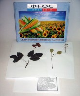 Гербарий "Сельскохозяйственные растения" (28 видов) - fgospostavki.ru - Тихорецк