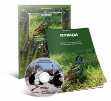 Электронное наглядное пособие «Птицы» - fgospostavki.ru - Тихорецк