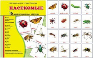 Демонстрационные карточки "Насекомые" - fgospostavki.ru - Тихорецк