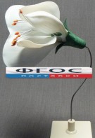 Модель "Цветок гороха" - fgospostavki.ru - Тихорецк