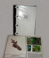 Гербарий "Эволюция высших растений" (ламинированный) - fgospostavki.ru - Тихорецк