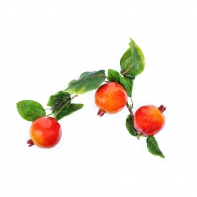 Ветка муляжей "Гранат" - fgospostavki.ru - Тихорецк