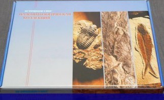 Коллекция "Палеонтологическая" (16 образцов) - fgospostavki.ru - Тихорецк
