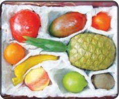 Набор муляжей тропических фруктов - fgospostavki.ru - Тихорецк