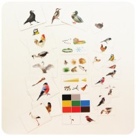 Набор магнитных карточек "Загадки-отрицания". Птицы - fgospostavki.ru - Тихорецк