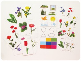 Набор магнитных карточек "Загадки-отрицания". Цветы - fgospostavki.ru - Тихорецк