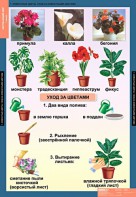 Комплект таблиц. Окружающий мир 1 класс. - fgospostavki.ru - Тихорецк