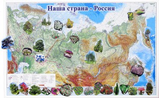 Магнитные карточки "Растения" - fgospostavki.ru - Тихорецк