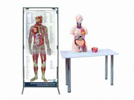 Интерактивный учебный комплекс "Анатомический атлас 3D" - fgospostavki.ru - Тихорецк
