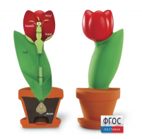 Модель цветка - fgospostavki.ru - Тихорецк