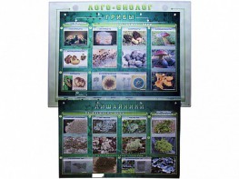 Комбинированный модульный комплекс "Лого-биолог" - fgospostavki.ru - Тихорецк