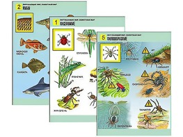 Комплект таблиц "Окружающий мир. Животный мир" (8 таблиц, А1, ламинированные) - fgospostavki.ru - Тихорецк
