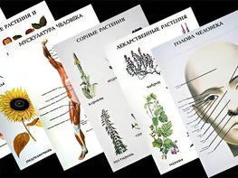 Таблицы по природоведению 1-3 класс (46 штук, формат А2) - fgospostavki.ru - Тихорецк
