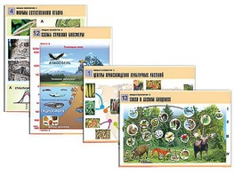 Комплект таблиц по биологии демонстрационных "Общая биология 2" (14 таблиц, формат А1, ламинированные) - fgospostavki.ru - Тихорецк