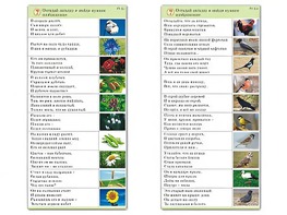 Комплект карточек (10) "Обучающий калейдоскоп. Природа" - fgospostavki.ru - Тихорецк