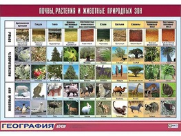 Таблица демонстрационная "Почвы, растения и животные природных зон" (винил 70*100) - fgospostavki.ru - Тихорецк