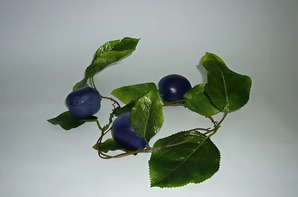 Ветка муляжей "Слива" - fgospostavki.ru - Тихорецк