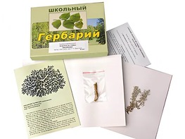 Гербарий "Водоросли. Грибы. Лишайники" (раздаточный) - fgospostavki.ru - Тихорецк