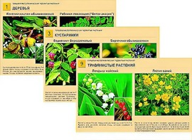 Гербарий фотографический "Ядовитые растения" - fgospostavki.ru - Тихорецк