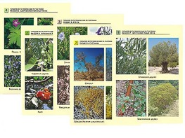 Гербарий фотографический по географии - fgospostavki.ru - Тихорецк