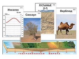 Модель-аппликация "Природные зоны" - fgospostavki.ru - Тихорецк