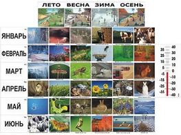 Фенологические наблюдения - fgospostavki.ru - Тихорецк