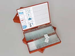 Комплект микропрепаратов "Ботаника 1" - fgospostavki.ru - Тихорецк