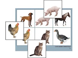 Логопедическое лото "Домашние животные" (4 планшета, 24 карточки, цветное, ламинированное) - fgospostavki.ru - Тихорецк