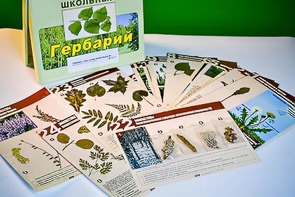 Гербарий к курсу основ общей биологии - fgospostavki.ru - Тихорецк