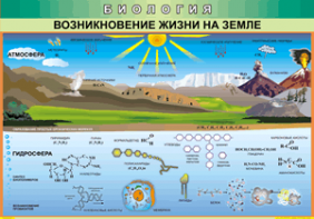 Таблица "Возникновение жизни на земле" (100х140 сантиметров, винил) - fgospostavki.ru - Тихорецк