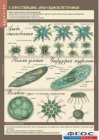 Комплект таблиц. Биология 7 класс. Животные. - fgospostavki.ru - Тихорецк