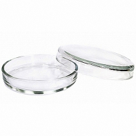 Чашка Петри 100х20 - fgospostavki.ru - Тихорецк